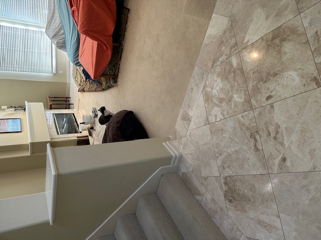 Chimney Leaks: fireplace wall water damage, mold removal complete